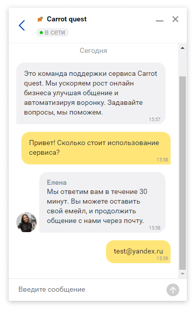 вид чата Яндекс.Диалог для пользователя