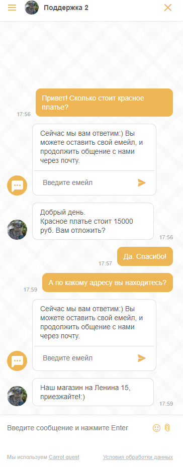 вид чата для пользователя