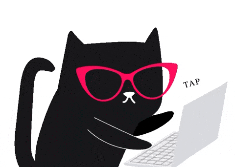 cat typing on laptop