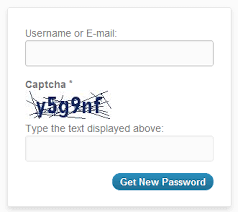 captcha in a leadform
