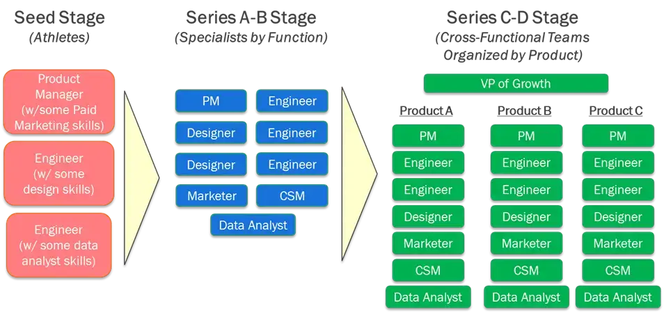 Stages of Growth Team