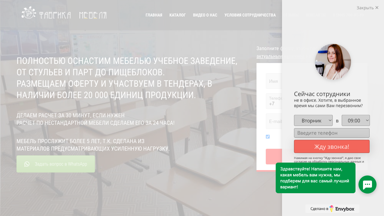 Mebel-shkolam.ru — пример чата от Carrot quest