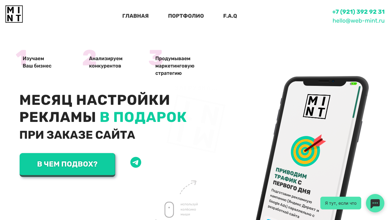 Бизнес чат для Web-mint.ru